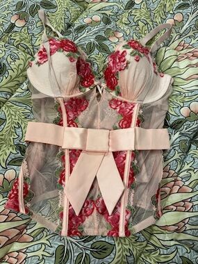 Sheer Floral Embroidered Bustier with Bow - Pink & Red